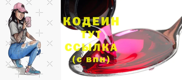 дмт Богородск