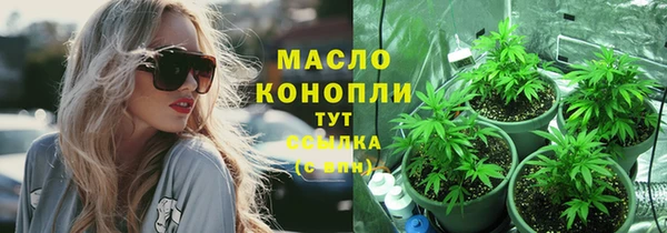 дмт Богородск