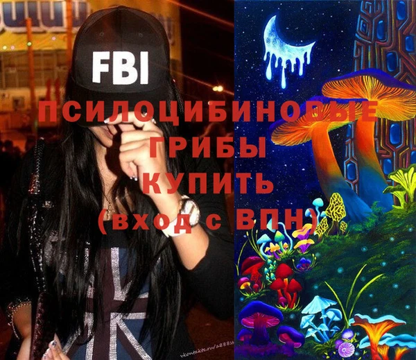 прущие крисы Богородицк