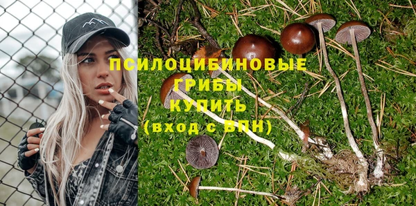 дмт Богородск