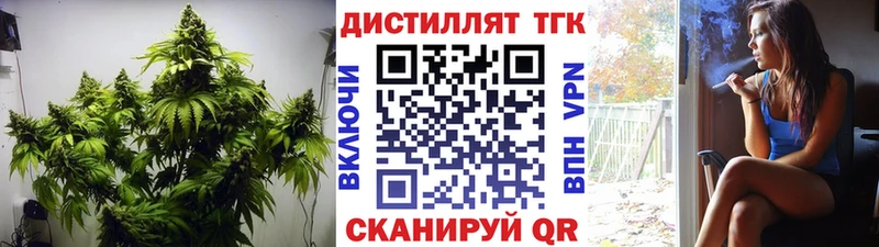 Купить  Могоча  ТГК вейп с тгк 