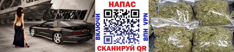 Купить закладки  Могоча  Канабис сатива 